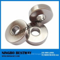 N40 High Performance Neodymium Magnet